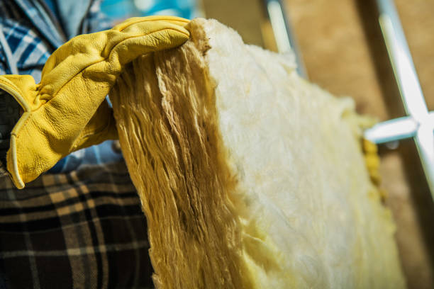 Best Specialized Insulation Services in Woodlake, CA