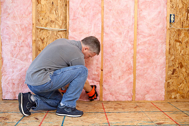 Best Energy Efficiency Insulation in Woodlake, CA